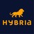 Hybria - Institute of Business & technologies logo