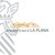 Logo de HOSPITAL UNIVERSITARIO DE LA PLANA (Vila-real)