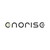 ENORISE logo