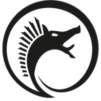 CAMOR Limited logo