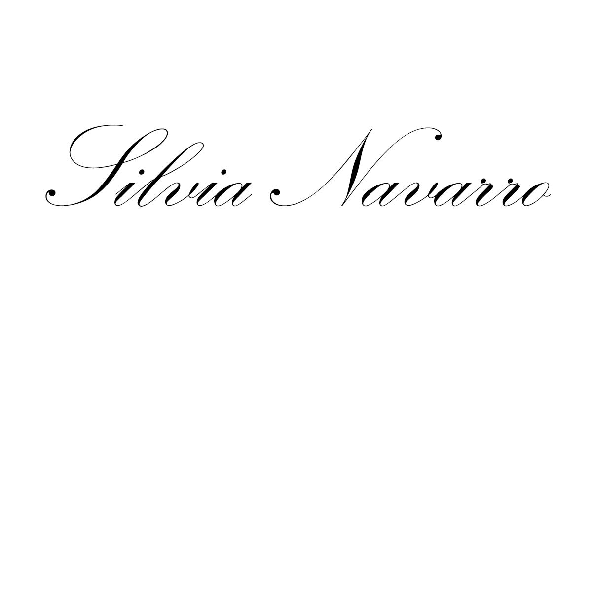 Silvia Navarro SL logo