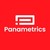 Panametrics logo