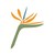 Logo di Paradise Point Resort & Spa