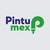 Pintumex Oficial Logo