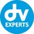 DV EXPERTS logo