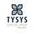 Tysys Capital Group logo
