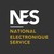 National Electronique Service logo