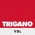 TRIGANO VDL logo