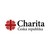 Caritas Czech Republic logo