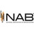 National Association of Broadcasters Logo