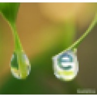 Echelon Ag logo