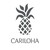Cariloha, Inc. logo