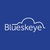 Blueskeye logo