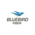 Bluebird Fiber Logo