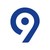 Logo di Levi9 Technology Services