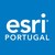 Esri Portugal logo