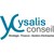 Ysalis Conseil logo