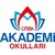 Cozum Academy Schools logo