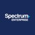 Spectrum Enterprise logo
