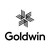 Goldwin, GOLDWIN INC. logo