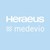 Heraeus Medical Components logo