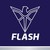 Flash Electronics India Pvt Ltd logo