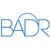 BADR (Acquired by Incorta) logo