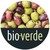 BIO-VERDE NATURFEINKOST GmbH & Co. Produktions-u. Handels KG logo