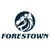 Logo di FORESTOWN International Group