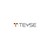Teyse Consulting LLC logo