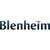 Blenheim Underwriting Limited logo