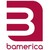 BAMERICA CORP logo