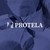 Protela Textiles logo
