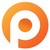 Pauwels Consulting logo