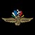 Indianapolis Motor Speedway logo