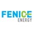Fenice Energy logo