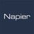 Napier Partnership Limited logo