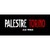 Palestre Torino dal 1964 logo