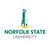 Logo di Norfolk State University