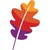 The Apache Software Foundation logo