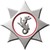 Avon Fire & Rescue Service logo