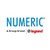 NUMERIC INDIA - A Group Brand Legrand logo
