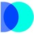 Data Observer logo