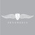 SkyAngels Enterprises, Inc. logo