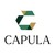Capula Investment Management LLP logo