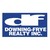 Downing-Frye Realty, Inc. logo