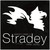 Stradey Park Hotel logo