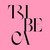 Tribeca Capital Partners logo