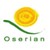 Oserian Development Company Limited logo