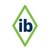 International Bridge, Inc. logo
